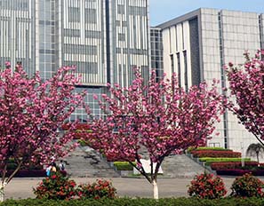 黃山學(xué)院消防主機集中校內(nèi)網(wǎng)管理平臺定制版